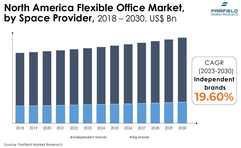Asia Pacific Flexible Office Market, by Type, 2018 - 2030, US$ Mn