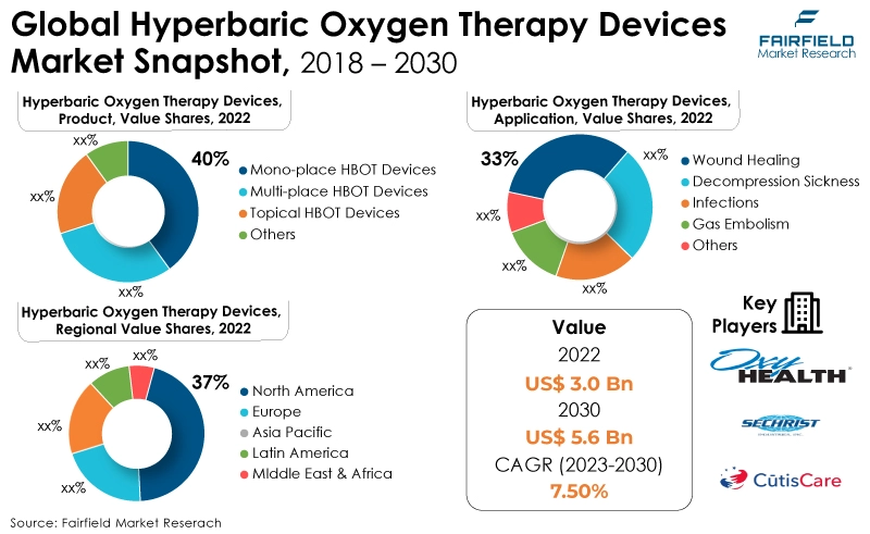 Global Hyperbaric Oxygen Therapy Devices Market Snapshot, 2018 - 2030