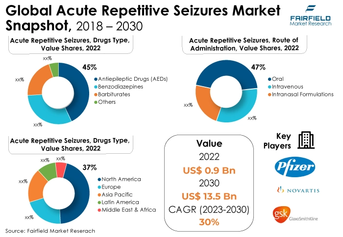 Global Acute Repetitive Seizures Market Snapshot, 2018 - 2030