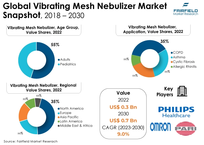 Global Vibrating Mesh Nebulizer Market Snapshot, 2018 - 2030