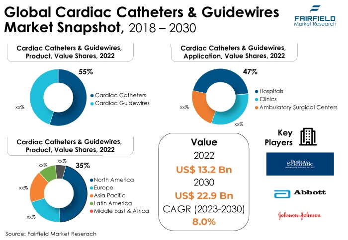 Global Cardiac Catheters & Guidewires Market Snapshot, 2018 - 2030