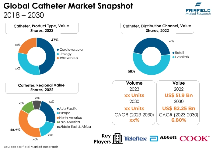 Global Catheter Market Snapshot, 2018 - 2030