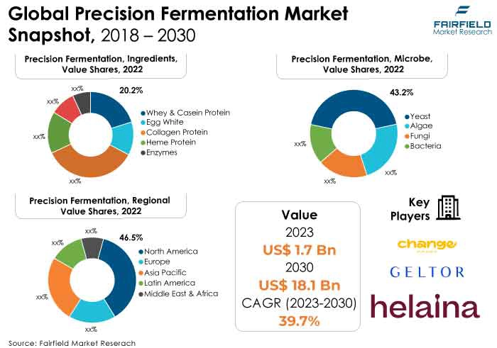  Precision Fermentation Market, Snapshot, 2018 - 2030