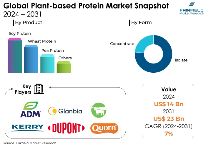 Plant-based Protein Market, snapshot 2024 - 2031