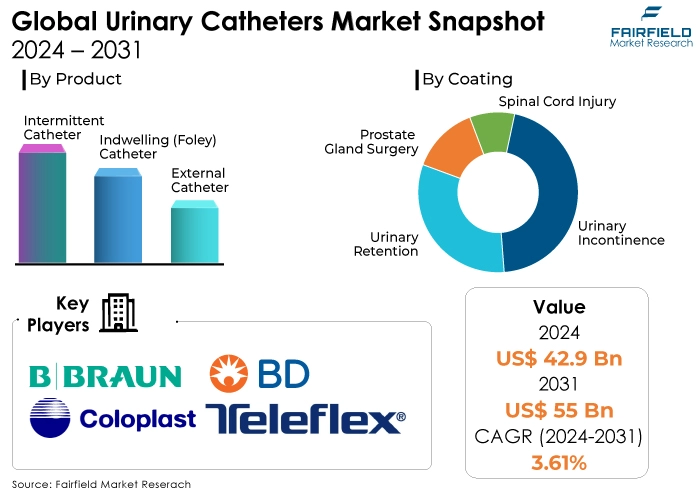 Urinary Catheters Market Snapshot, 2024 - 2031