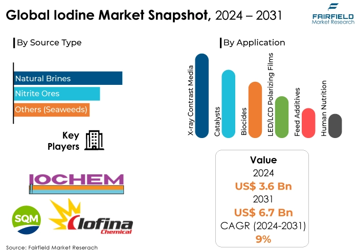 Iodine Market Snapshot, 2024 - 2031