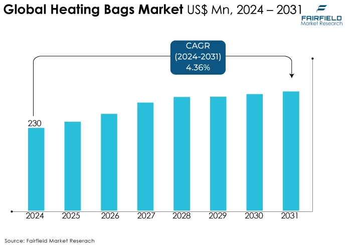Heating Bags Market US$ Mn, 2024 - 2031
