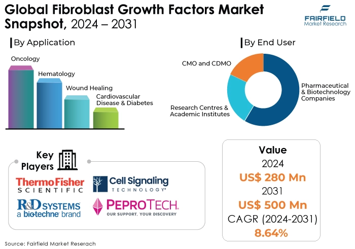 Fibroblast Growth Factors Market Snapshot, 2024 - 2031