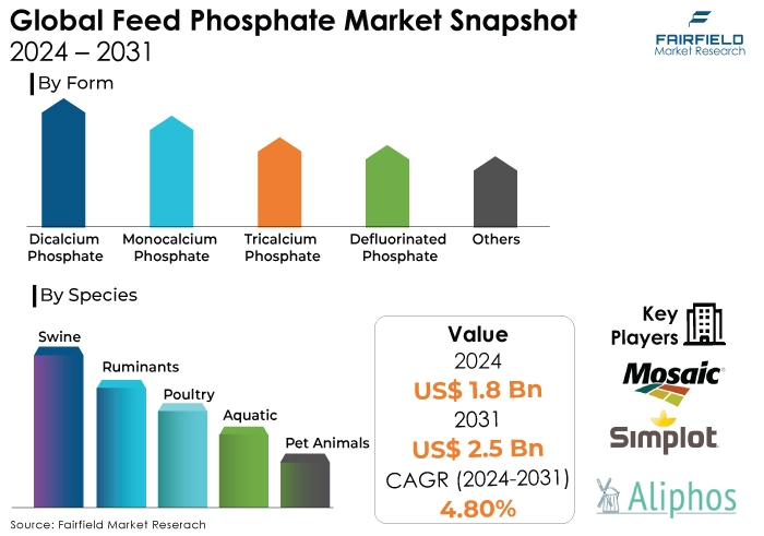 
Feed Phosphate Market Snapshot, 2024 - 2031