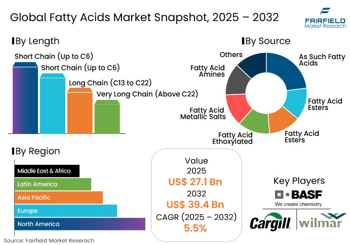 Fatty Acids Market Snapshot, 2025 - 2032