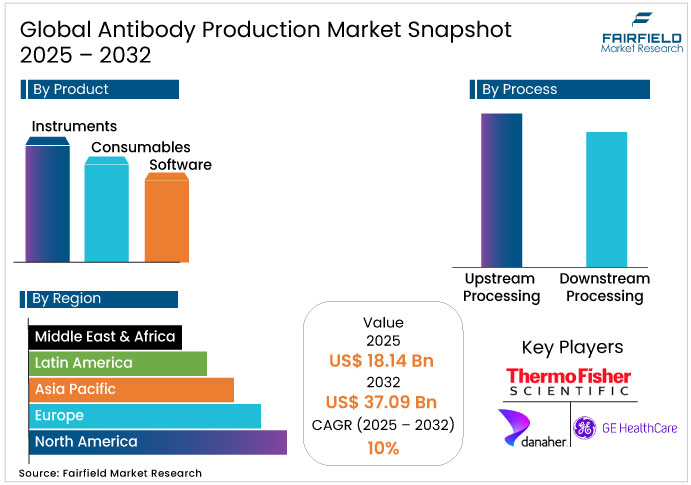 Antibody Production Market Snapshot, 2025 - 2032