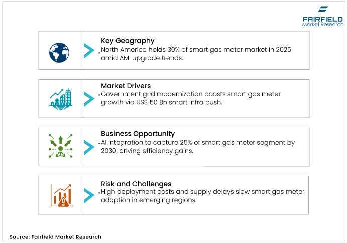 Smart Gas Meter Market DROs