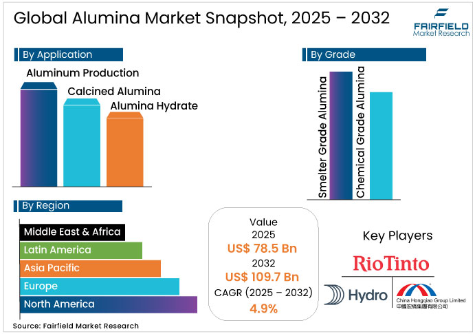 Alumina Market Snapshot, 2025 - 2032