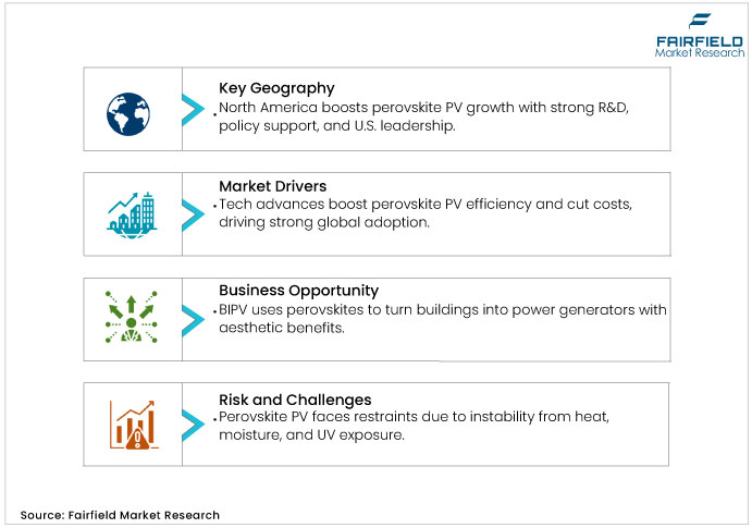 Perovskite Photovoltaics Market DROs Perovskite Photovoltaics Market DROs