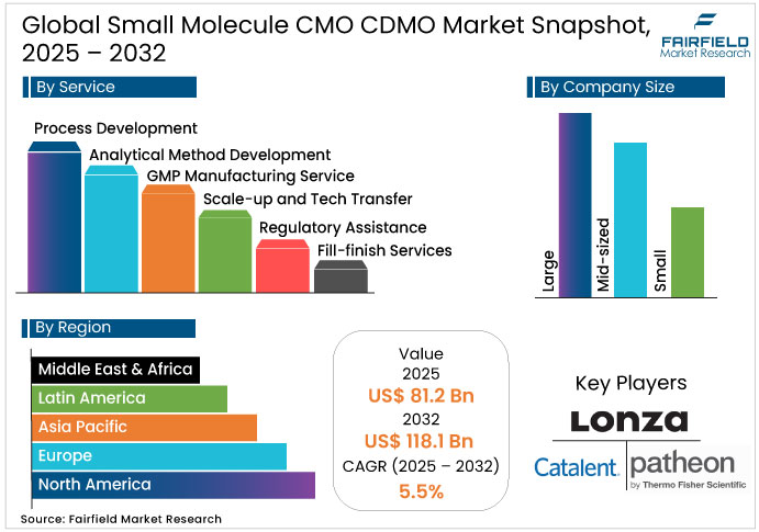 Small Molecule CMO/CDMO Market Snapshot, 2025 - 2032