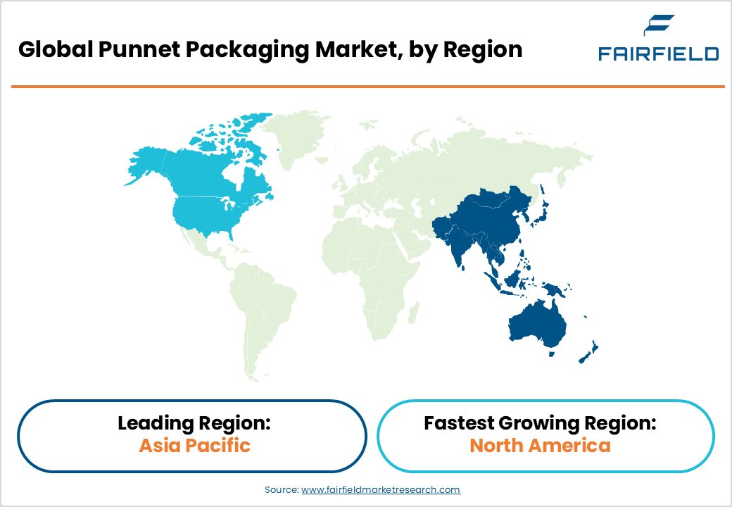 Punnet Packaging Market, by Region

