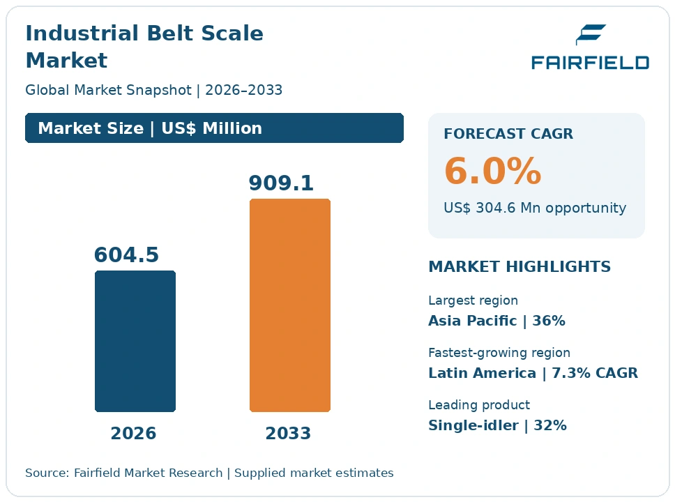 Industrial Belt Scale Market infographic