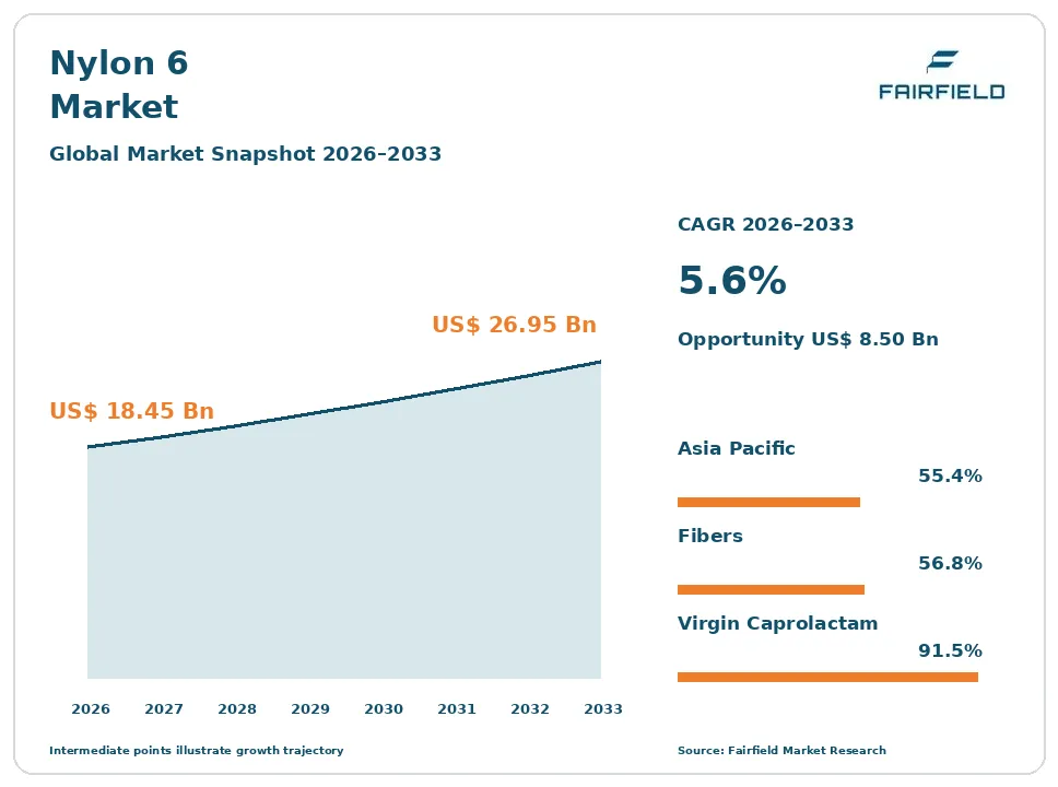 Nylon 6 Market snapshot